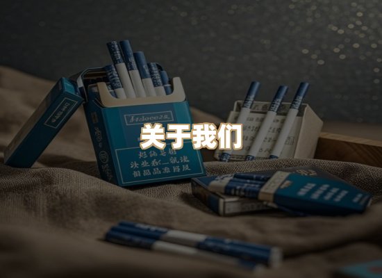 关于蓝帝网